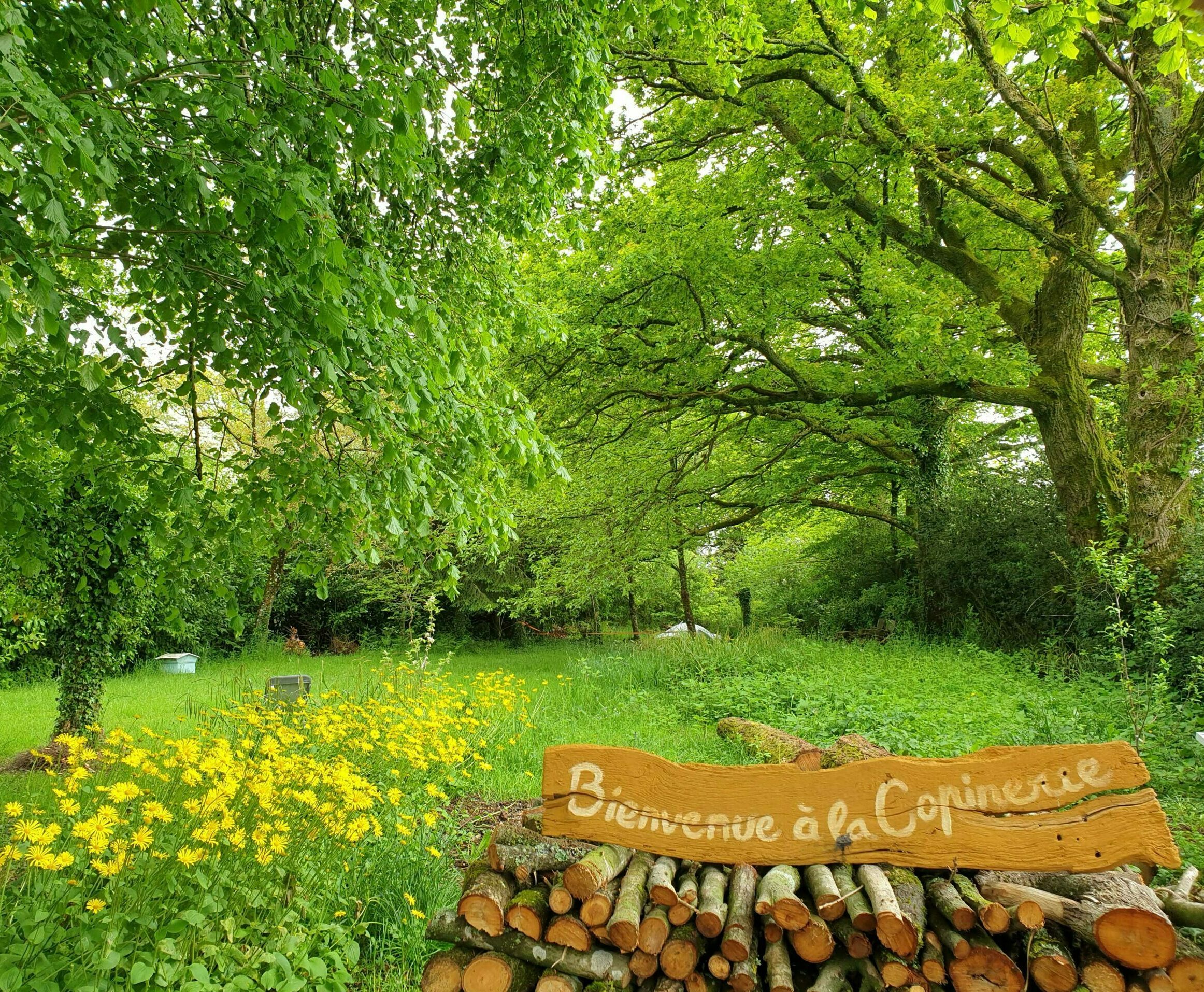 Parc_Copinerie - 1920-800